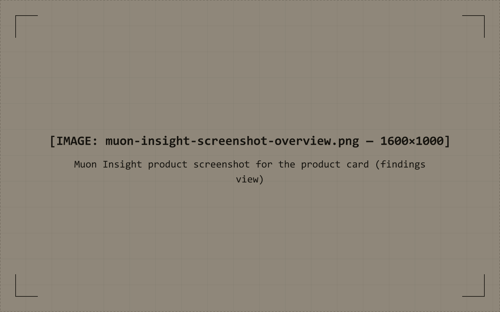 Muon Insight showing plain-language findings for a computer
